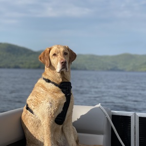 Fundraising Page: Susan Devlin